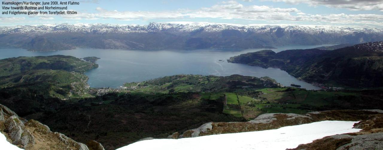 ノールハイムスン Hardanger Feriesenter Sjuseteヴィラ エクステリア 写真